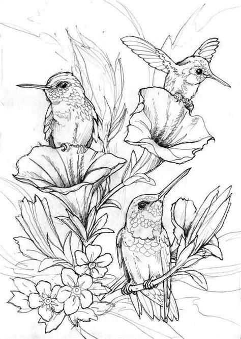 Hummingbird in flight.detailed drawing of a bird.handmade.vector illustration isolated on white a cute flying hummingbird on the abstract floral background with ornaments image for relaxing.a coloring book,page for adults.zen art style. Hummingbird Coloring Pages (With images) | Bird coloring ...