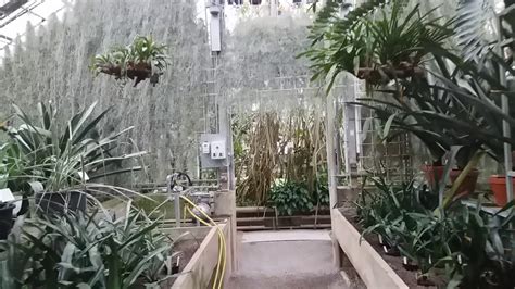 Unsere schauhäuser sind nun wieder geöffnet. Botanischer Garten Heidelberg - YouTube