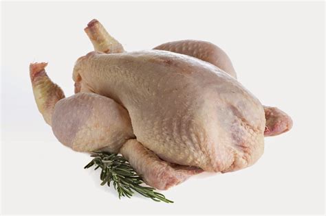 Check spelling or type a new query. rajah-business: PEMBEKAL AYAM DAGING BULAT YANG SUDAH PROSES DI KUALA LUMPUR