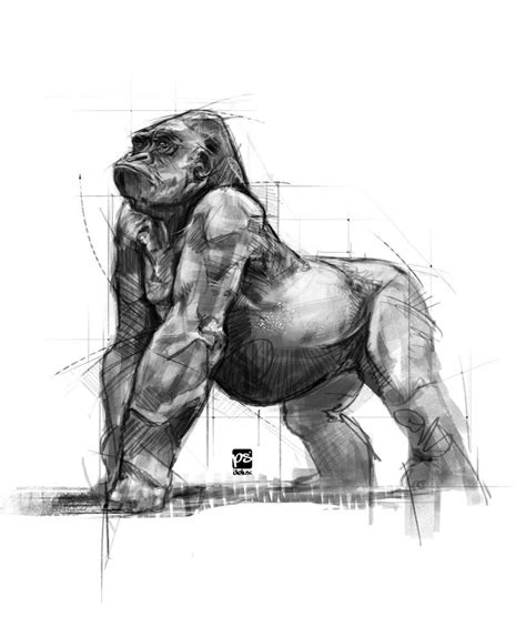 Who will win in a fight between the gorilla vs lion? ArtStation - frog, lion skull, bear, gorilla, psdelux ...