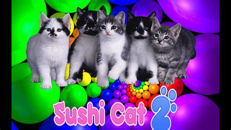 Play through all new levels with new powerups, new obstacles, and hilarious outfits. SUSHI CAT 2 - Толстый пёс! - YouTube