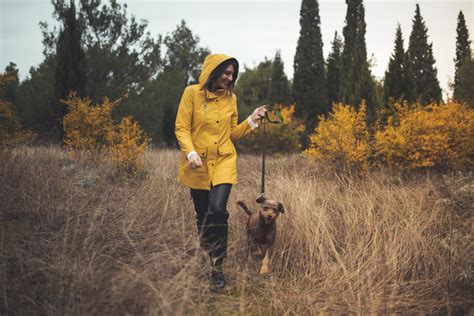 Überlegt euch, zu welcher zeit ihr am morgen wach und zu hause seid, und gewöhnt euren hund an diese fütterungszeit. Wie oft den Hund füttern? - Hunde-Kausnacks Magazin