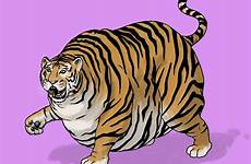 tiger fat cartoon walter newton none filtered artist