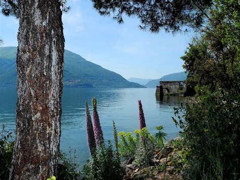 Hotel direkt zentral und nur wenige gehminuten zur italienischen grenze. Der Lago Maggiore - zwischen Italien und der Schweiz