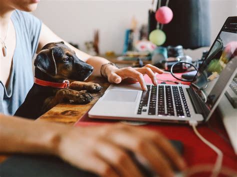 While one group believes employees will abuse the working from home removes the commute from employees' mornings. Staying Productive While Working From Home With Pets