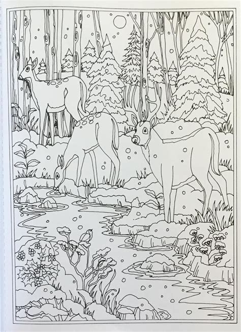 Illustrations are printed on one side of perforated pages for easy removal and display. Amazon.com: Creative Haven Winter Wonderland Coloring Book ...