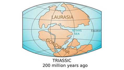 The first edition of the novel was published in 1989, and was. The Lost Continent: Travel - Brand New Bill Bryson The Lost Continent Travels In Small Town ...