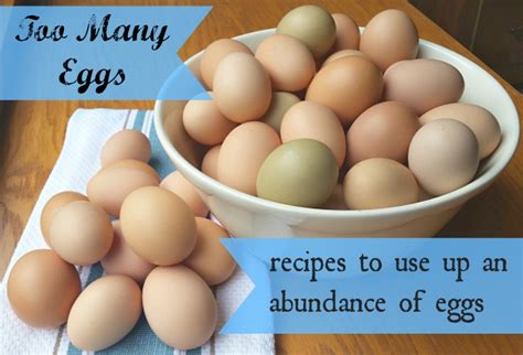 Spanish cuisine uses the most oil among all western and central european cuisines. Desserts Using Lots Of Eggs - It's the last cooking day of vlogtober, so i tried to make it a ...