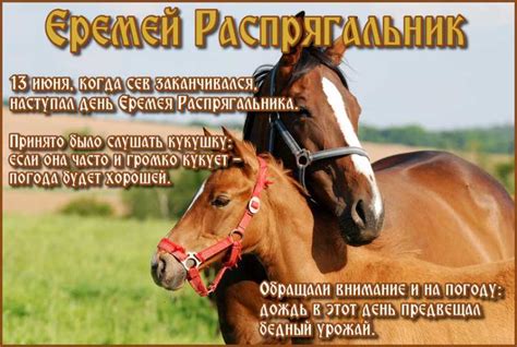 В православном церковном календаре это день памяти преподобного никиты, столпника переяславского. 13 июня какой церковный праздник в России 2020 года