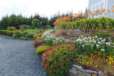 If you're following our exact method, make sure. Diy urban vegetable garden | Hawk Haven