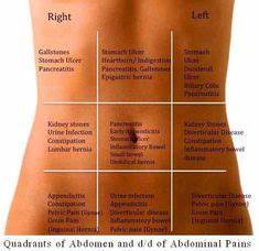  Above The Stomach Is Charted As Occurring In The