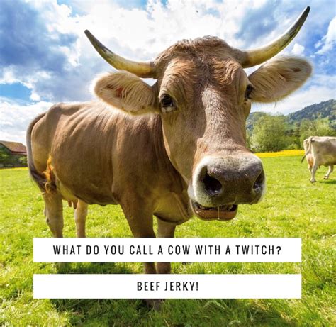 For a female colleague so sweet, she could pass for your sister. "What do you call a cow with a twitch?" #BeefJerky | Green ...