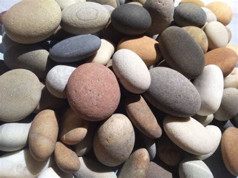 3oz craft stones small pebbles. Best 25+ Decorative stones in bulk ideas on Pinterest | Weddings in gardens, Finished basement ...