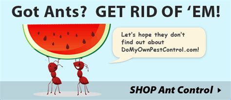 Offer good while supplies last. Ant Control Products (doyourownpestcontrol.com) | Ant control, Pest control, Garden yard ideas