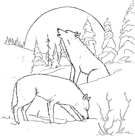 My wolf coloring pages are fun to customize. Wild Animal " Wolf " Printable Coloring Pages