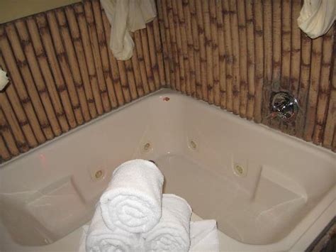 While, in general are called hotels with hot tub in the room, many times the rooms of these hotels do not have a jacuzzi, but have a hot tub. Serengeti 2-person jacuzzi/hot tub with chromatherapy ...