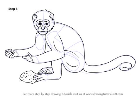 This book shows the reader (and it is made for kids but adults will like it too) how to draw adorable zoo cartoon animals! Step by Step How to Draw a Monkey : DrawingTutorials101.com