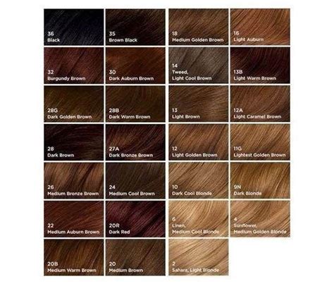 Easy permanent hair dye all colours black brunette blonde red dark burgundy brown 1 clairol nice n easy permanent hair color 4bg dark burgundy clairol natural instincts crema keratina hair color kit burgundy 4rv eggplant creme from burgundy brown hair color clairol, source:amazon.com. Image result for nice and easy brown hair dye #BeautyBlog ...