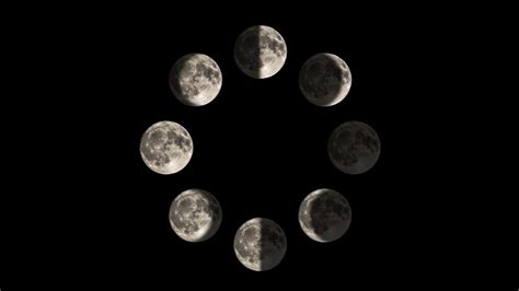Because cancers are ruled by the moon, they have a deep emotional connection to the moon's orbit. Moon Phases Don't Affect the Deer Rut | Grand View ...
