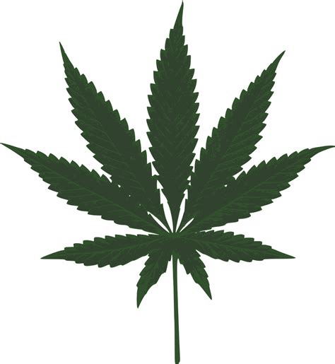 Gambar pemandangan alam ini menjadi bukti akan keindahan alam yang terdapat di beberapa. Marijuana Feuilles Vert - Images vectorielles gratuites ...