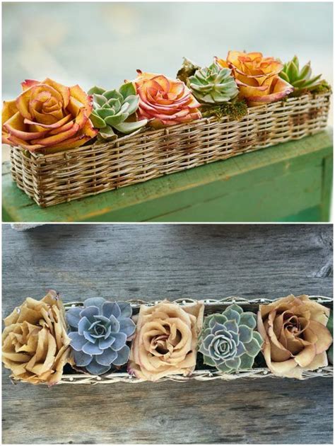 Check spelling or type a new query. How To Preserve Roses With Wax Video Instructions | The ...