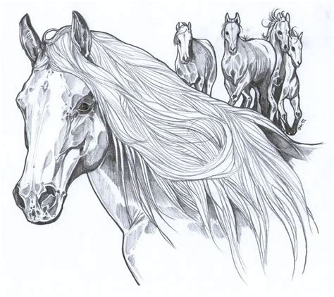 To print the coloring page Wild Mustangs | Wild horses mustangs, Wild mustangs ...