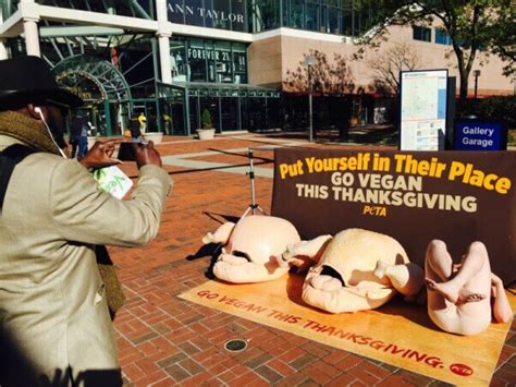 We did not find results for: Nude Protestors on Giant Cutting Boards Call for Turkey ...
