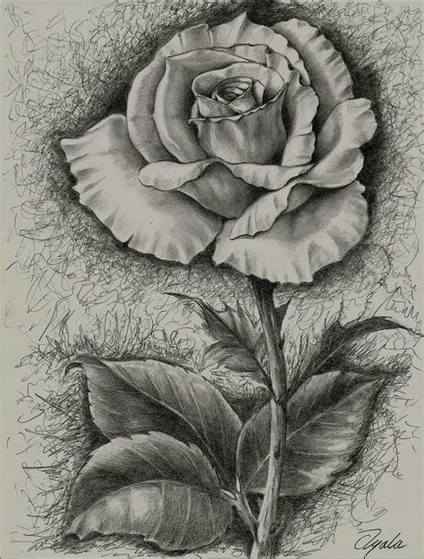 El mejor dibujo de una rosa a lapiz paso a paso Pin en rosa lapiz