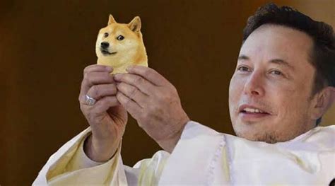 While doge recently bagged massive gains following a viral tiktok video, musk's latest tweet further pumped the price of the altcoin. Dogecoin price spikes after Elon Musk's SNL appearance ...