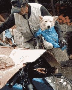 Dadgifts.com offers a curated selection of great gifts for dads, including new dad survival kits. For animated GIFs