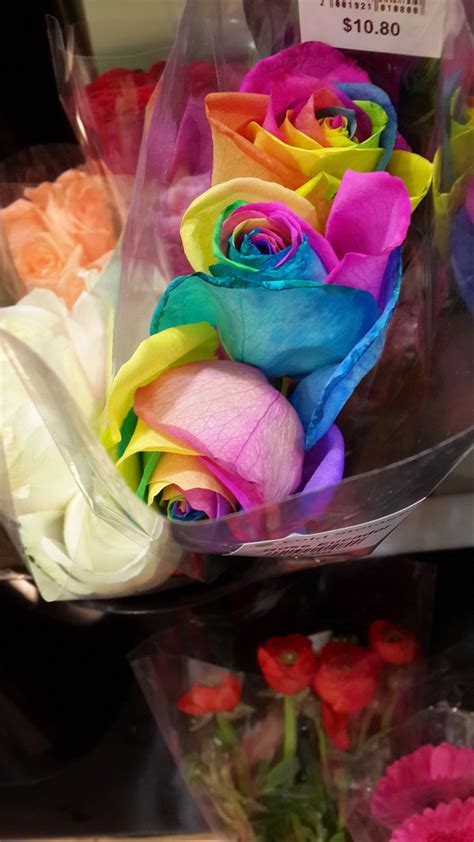 1.3 kode alam capung 3d dalam buku mimpi capung. Terkeren 17+ Gambar Bunga Mawar Rainbow - Gambar Bunga HD