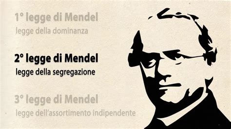 Pressione, principio di pascal e legge di stevino. Le leggi di Mendel - Collezioni Zanichelli