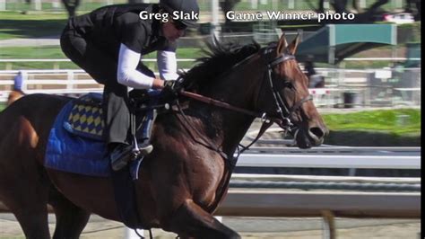 The kentucky derby decision was not a good one. Kentucky Derby 2019: Game Winner! - YouTube