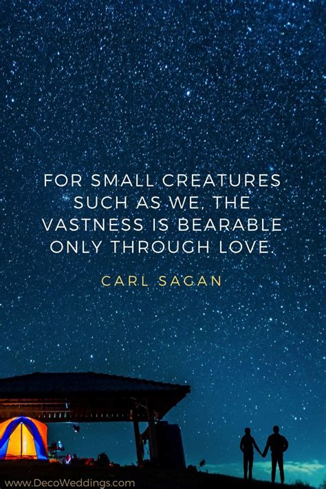 "For small creatures such as we, the vastness is bearable ...