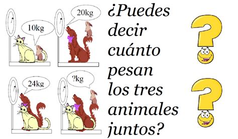 Periódicamente, estos dos personajes lanzan divertidos retos mentales a los niños en forma de misiones especiales a través de la plataforma. Acertijos Matemáticos Retos Mentales Divertidos Con ...