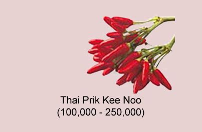 Top 10 best mookata in penang you have to try penang foodie. Thai Prik Kee Noo