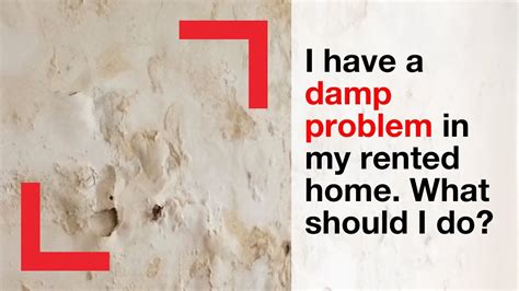 This is because bedrooms are often kept warm at night while breathing creates additional moisture. I have a damp problem in my rented home. What should I do ...