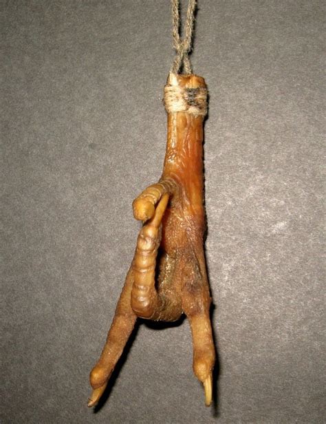 Voodoo chicken foot necklace brown waxed cording. Satanic VooDoo Chicken Foot Necklace Santeria Botanica ...