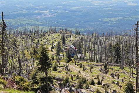 Offiziell rachelschutzhaus genannt, ist auf einer höhe von 1.360 m die höchstgelegene berghütte im bayerischen wald. Waldschmidthaus Foto & Bild | landschaft, berge, hütten u ...