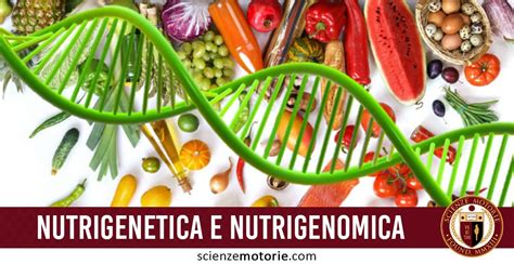 Il corso di laurea magistrale in scienze dell'alimentazione, salute e benessere dell'uomo attivato in collaborazione tra il dipartimento di medicina e chirurgia, quello di agraria e con il contributo del dipartimento di veterinaria, intende porsi come obiettivo finale la formazione laureati magistrali le cui conoscenze in campo alimentare si ispirino ad un indirizzo fortemente. Nutrigenetica e Nutrigenomica: il Futuro delle Scienze ...