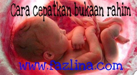 Dengan demikian hormon estrogen dan progesteron akan kembali menunjang ovarium dalam menghasilkan ovum dalam rangka ovulasi. WWW.FAZLINA.COM : Cara cepatkan bukaan rahim