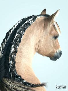 #Braids #Heart #HORSE #shaped Heart shaped horse braids ...