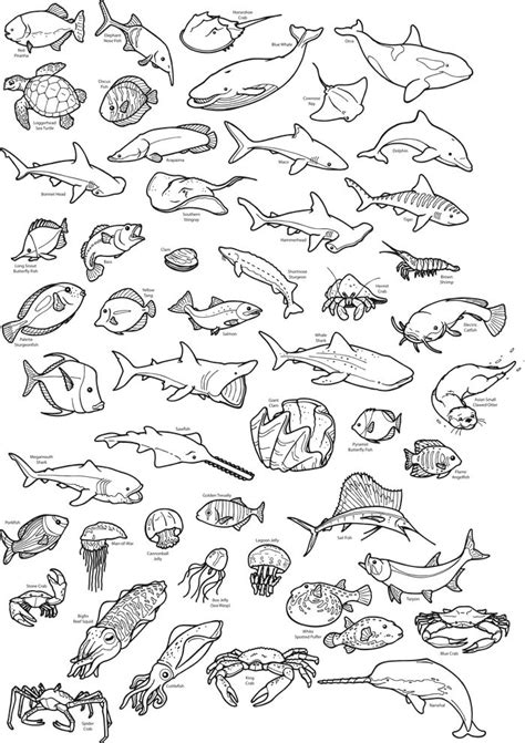 Ocean animals come in almost every shape and size imaginable. 256 best kids coloring pages images on Pinterest | Ocean ...