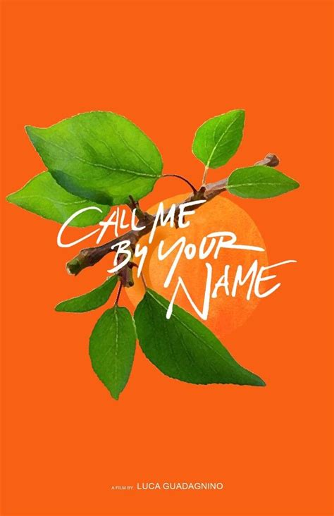 If I'm Stupid, Let Me Be Stupid - soft-timmy: CMBYN Posters (2) | Your name movie, Your name ...