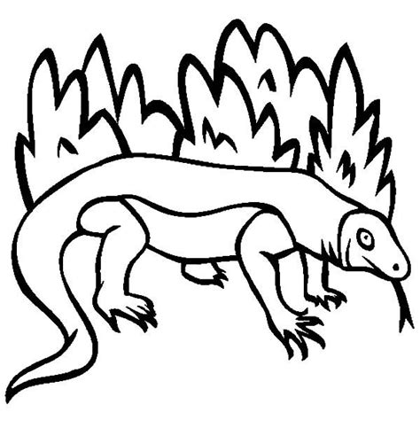 Also you can search for other artwork with our tools. Komodo Dragon Outline Coloring Pages - Download & Print ...