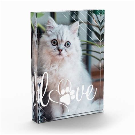 Duplicate your paw group and then with the selection tool (v) move the paw above and to the right. Pet Life Love | Paw Print Heart Script Quote Photo ...