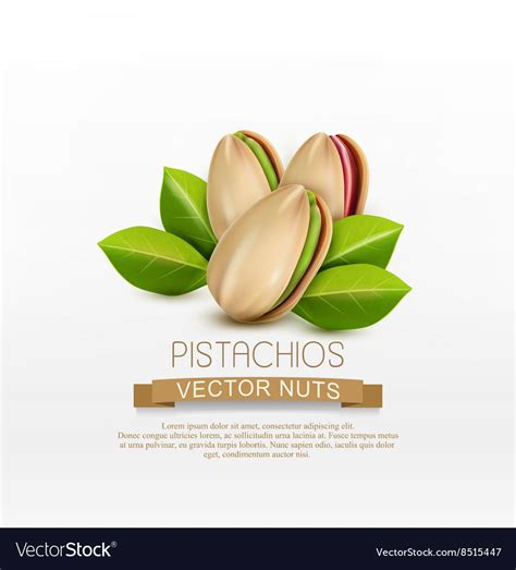We did not find results for: Group of pistachio nuts isolated vector image on ...