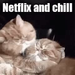 17,069 likes · 5 talking about this. Netflix Chill GIF - Netflix Chill Netflixandchill ...