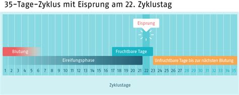 Wir zeigen dir wie du die eisprungzeit mit zervixschleim und basaltemperatur bestimmen kannst. 51 Best Pictures Wann Kann Ich Schwanger Werden ...