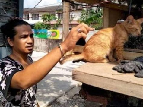 We did not find results for: 60 ekor kucing diracun, netizen kecam pelaku